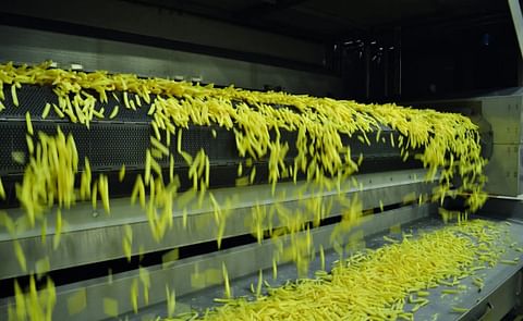 Lutosa Invests Over EUR 200 Million to Expand and Green Its Waregem Site, Boosting Production and Sustainability Lutosa Invests Over EUR 200 Million to Expand and Green Its Waregem Site, Boosting Production and Sustainability