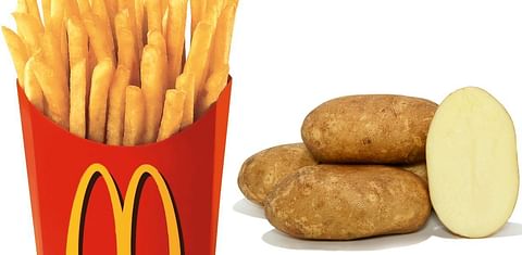 Europe's small potatoes a problem for McDonald's