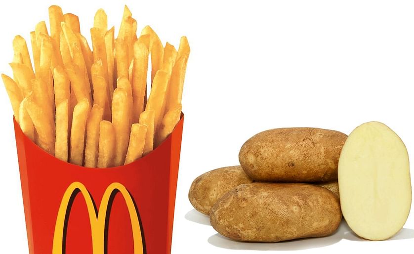 This year, your fries at McDonald's will not look like this (left) in Europe. As a result of the hot and dry weather, potatoes are in short supply and are smaller in size. This is true also for the potato variety Innovator (right), so fries will be shorte