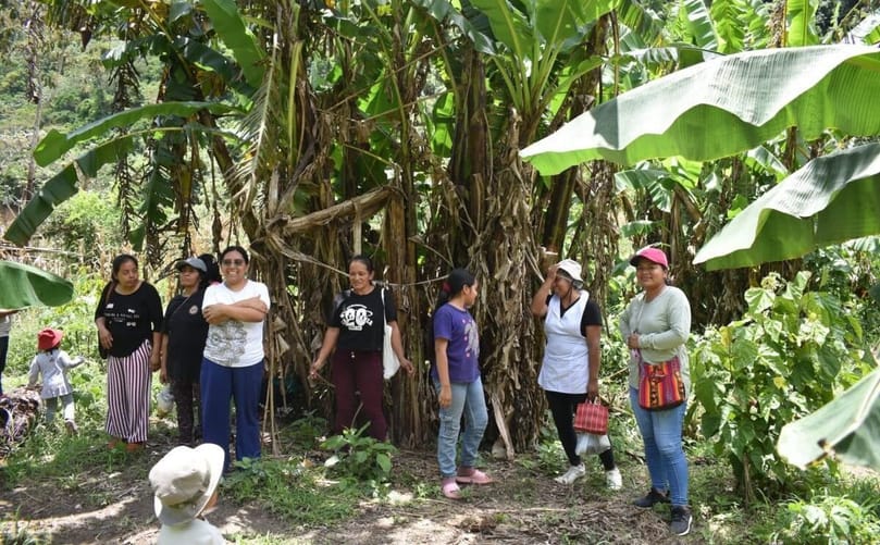 Loaiza Seri and the 14-woman team who work to rescue traditional varieties of cassava and magona potato. (Courtesy: Conservation International Peru)