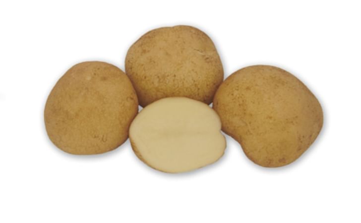 MACKINAW CHIPPER (MSX 540-4) MACKINAW CHIPPER (MSX 540-4)