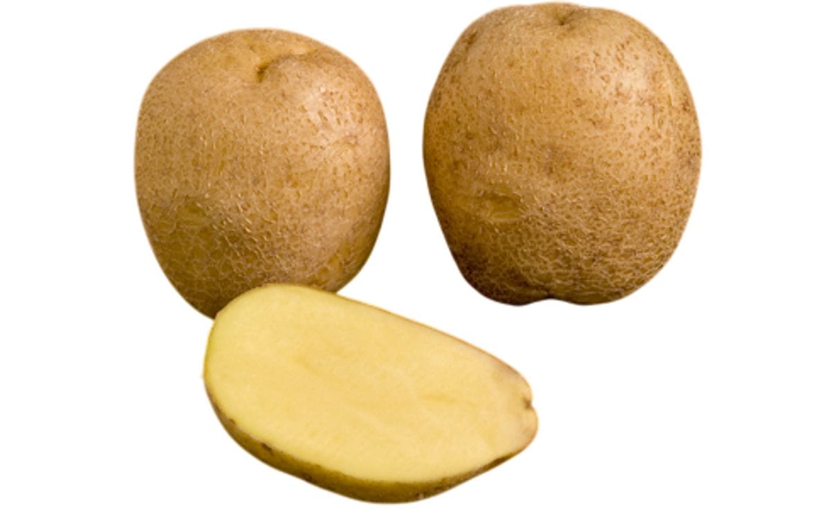 MADINGLEY | PotatoPro