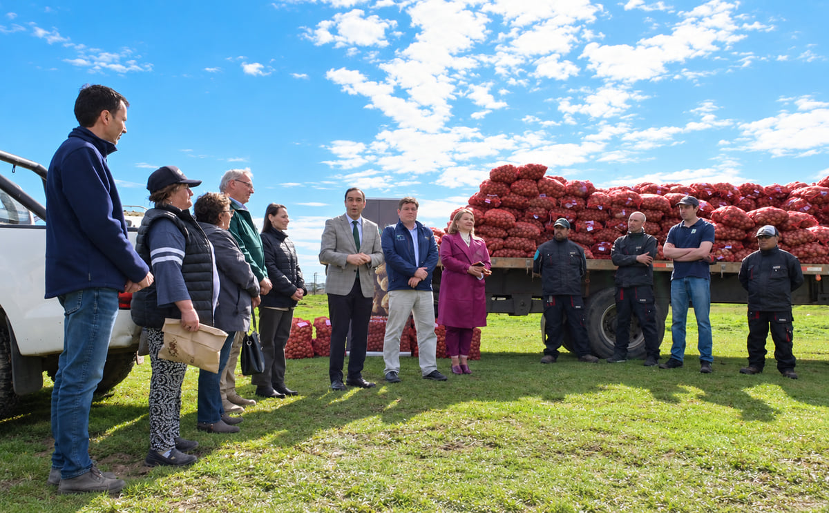 La región de Magallanes, Chile, impulsa nuevas variedades de papa, semillas de alta calidad y tecnologías de riego eficiente para mejorar la productividad, reducir costos y fortalecer la agricultura local.
