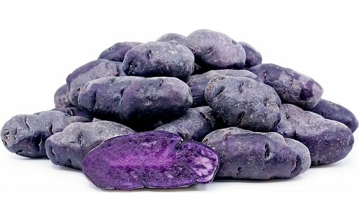 MAGIC MOLLY MAGIC MOLLY