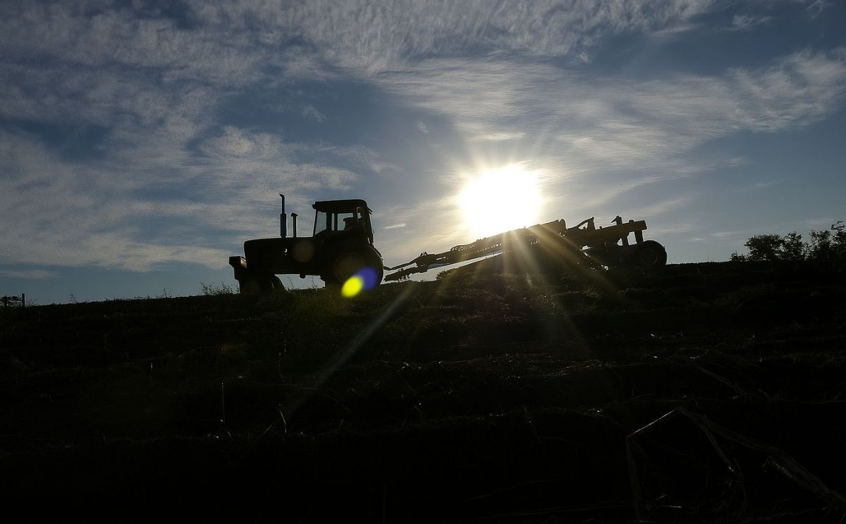 Maine Potato Board says initial crop quality good, despite rain, tornadoes