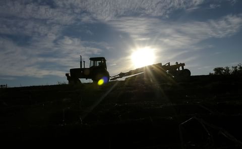 Maine Potato Board says initial crop quality good, despite rain, tornadoes Maine Potato Board says initial crop quality good, despite rain, tornadoes