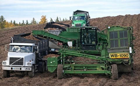 New harvesters a big change for the Maine potato industry New harvesters a big change for the Maine potato industry