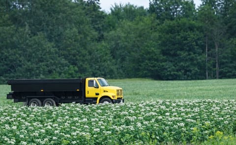Maine potatoes recovering after wet and soggy season Maine potatoes recovering after wet and soggy season