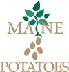 Damp weather helps spread of late blight in Maine potato crop