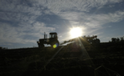 Maine Potato Board says initial crop quality good, despite rain, tornadoes Maine Potato Board says initial crop quality good, despite rain, tornadoes