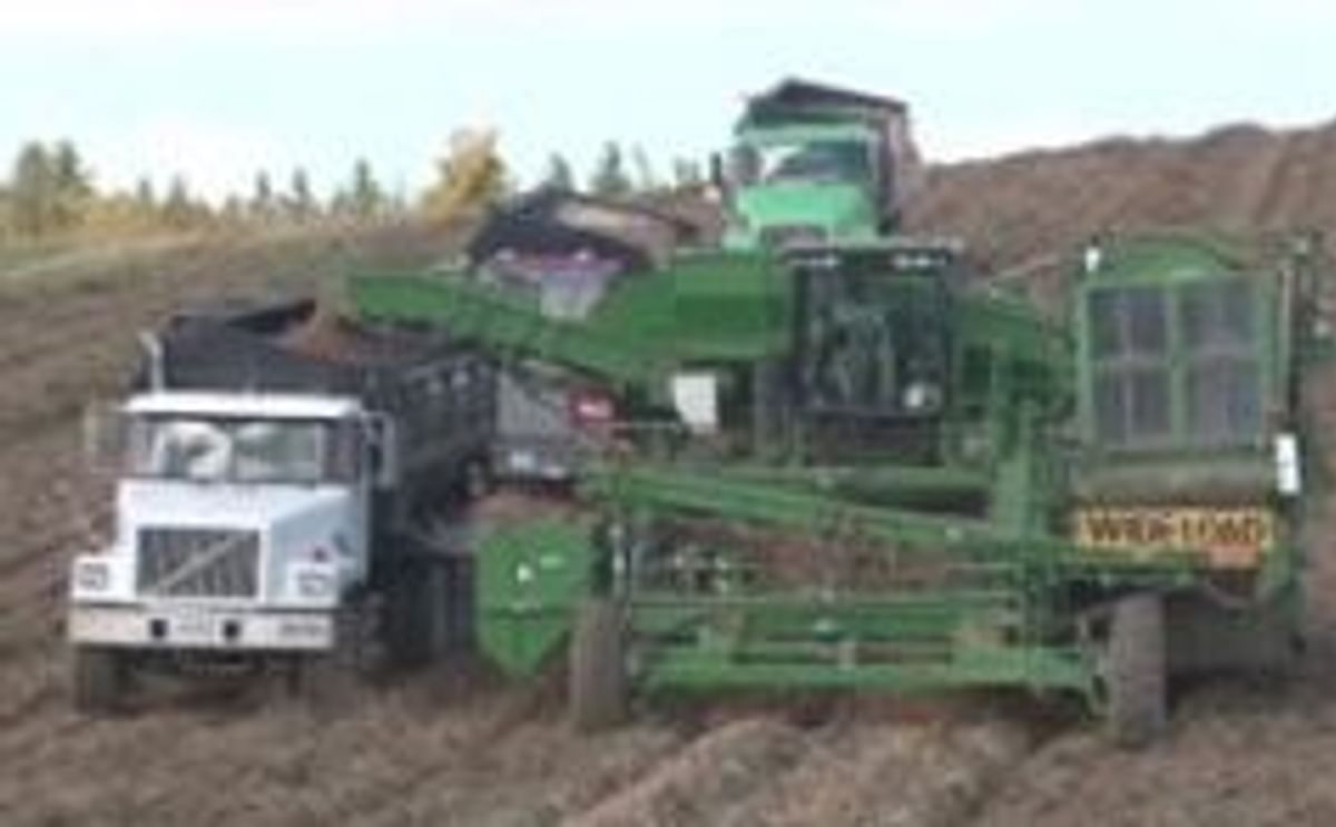 New harvesters a big change for the Maine potato industry
