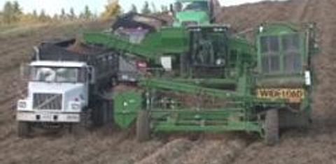  Maine Potato harvest