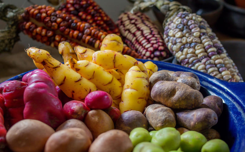 Potatoes and Maize in the Andes: Foundations of Huari and Tiwanaku Growth