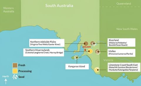 South Australia plans export of high quality crisping and seed potatoes to Thailand and Malaysia. South Australia plans export of high quality crisping and seed potatoes to Thailand and Malaysia.