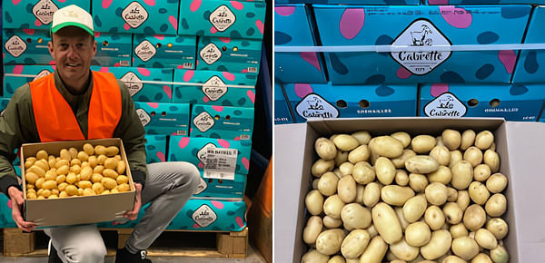 Major shortages and unprecedented high prices in the European potato market