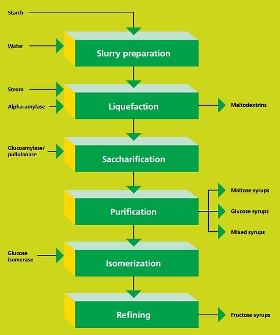 Major steps in enzymatic starch conversion (Novozymes).