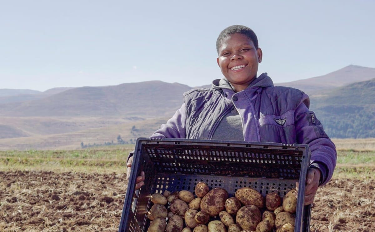 Maleuta Mahao, a young potato farmer from Semonkong, Lesotho
