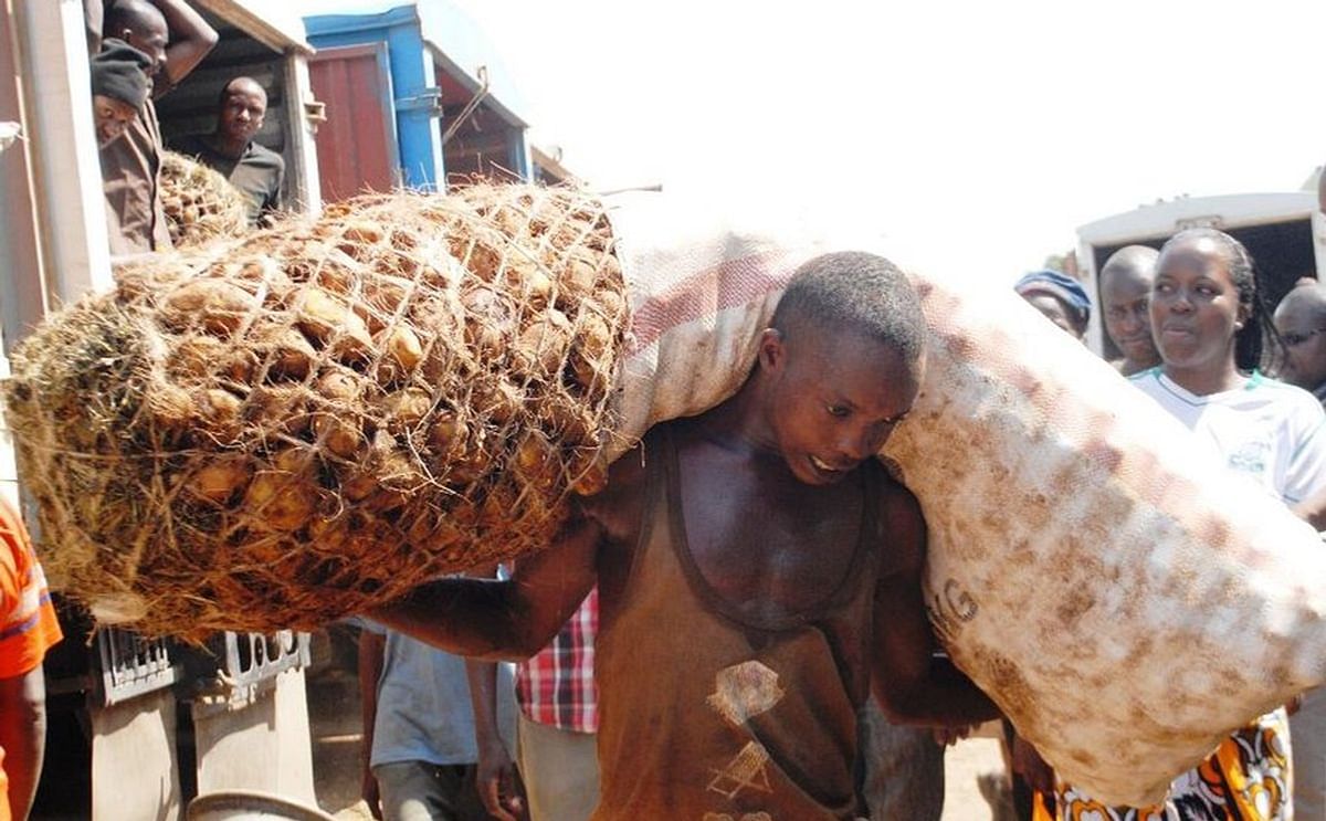 A man carries a heavy long over-packed sack of potatoes. (Courtesy: The Star)