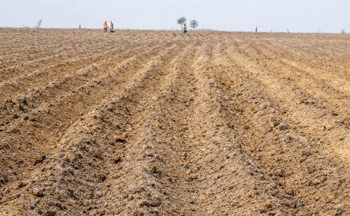 Located in the state Plateau, Nigeria is the potato farm Mangu-Bokkos-Plateau (shown above). This operation, farmed by Vicampro is said to be the largest mechanized potato farm in Nigeria (Courtesy: Vicampro)