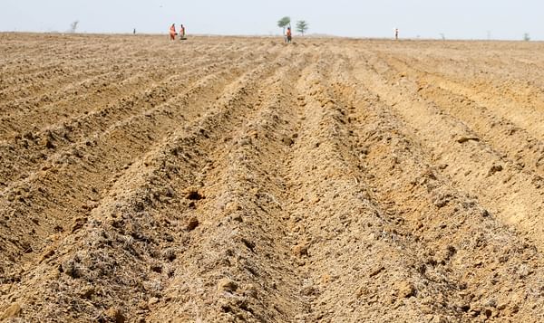 African Development Bank Project will boost Potato cultivation in Nigeria