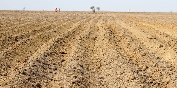 African Development Bank Project will boost Potato cultivation in Nigeria