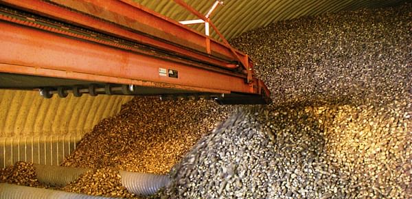 Producers were reporting storage concerns this winter as they struggled with frost-damaged potatoes and extreme cold.