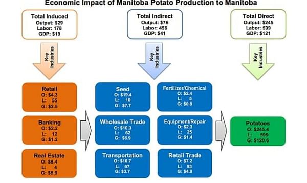 The economic impact of the potato industry in Manitoba