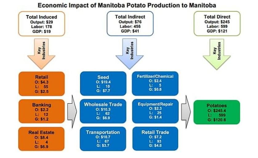 The economic impact of the potato industry in Manitoba
