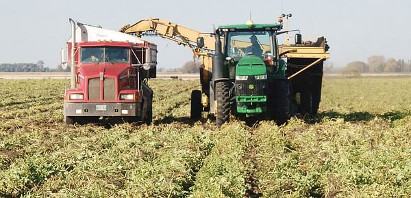 Manitoba faces a potato shortage as 8 percent of acreage goes unharvested