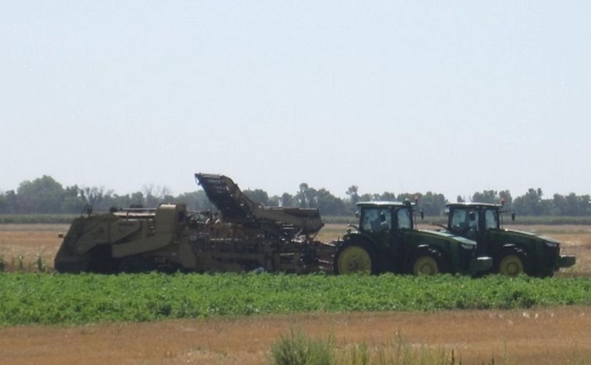 This year has been a difficult one for potato producers in the Portage, Manitoba region. Shifting weather extremes have made both growing and harvesting difficult at times.