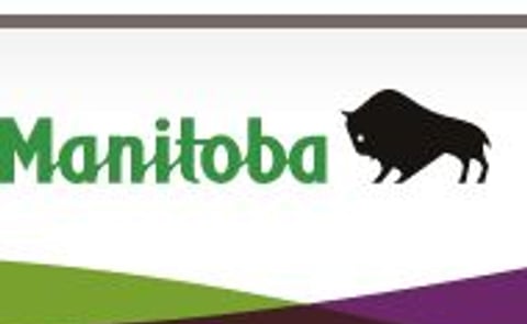Canada's Manitoba province expects above average potato yields Canada's Manitoba province expects above average potato yields