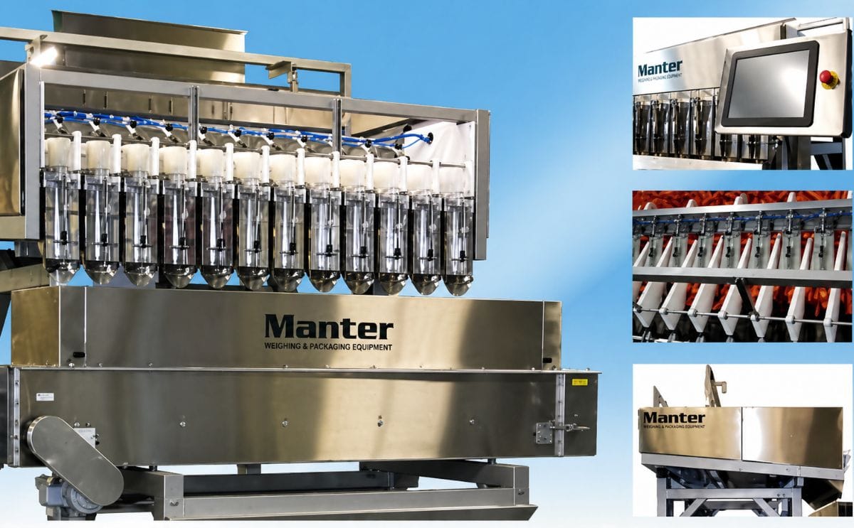 Manter International Carrot weigher Manter International Carrot weigher