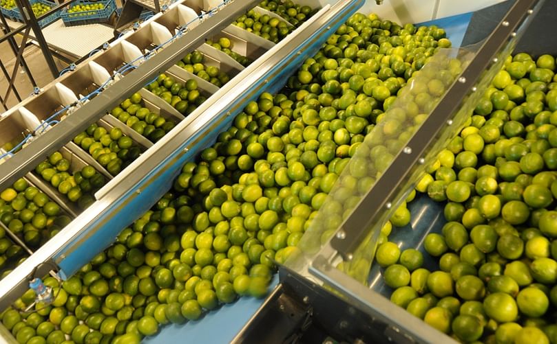 Manter offers machines for a wide range of products; from citrus to frozen fish