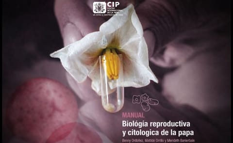 Publican manual sobre biología reproductiva y citológica de la papa Publican manual sobre biología reproductiva y citológica de la papa