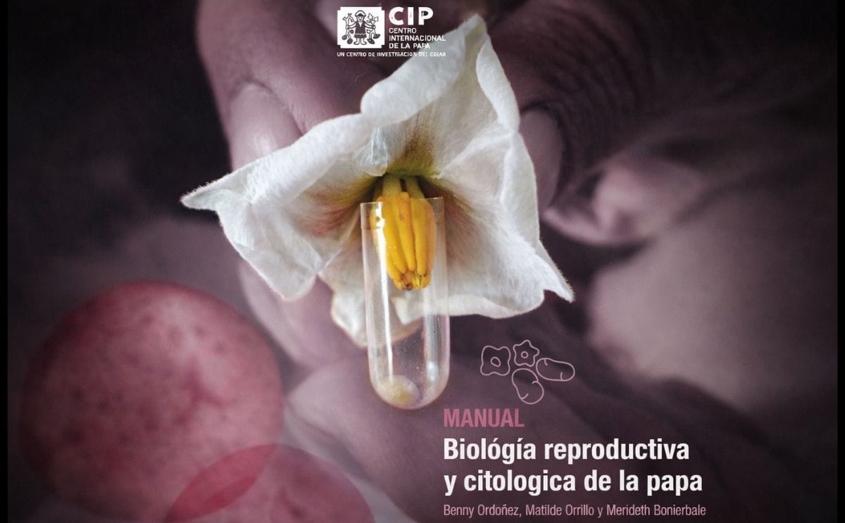 Publican manual sobre biología reproductiva y citológica de la papa