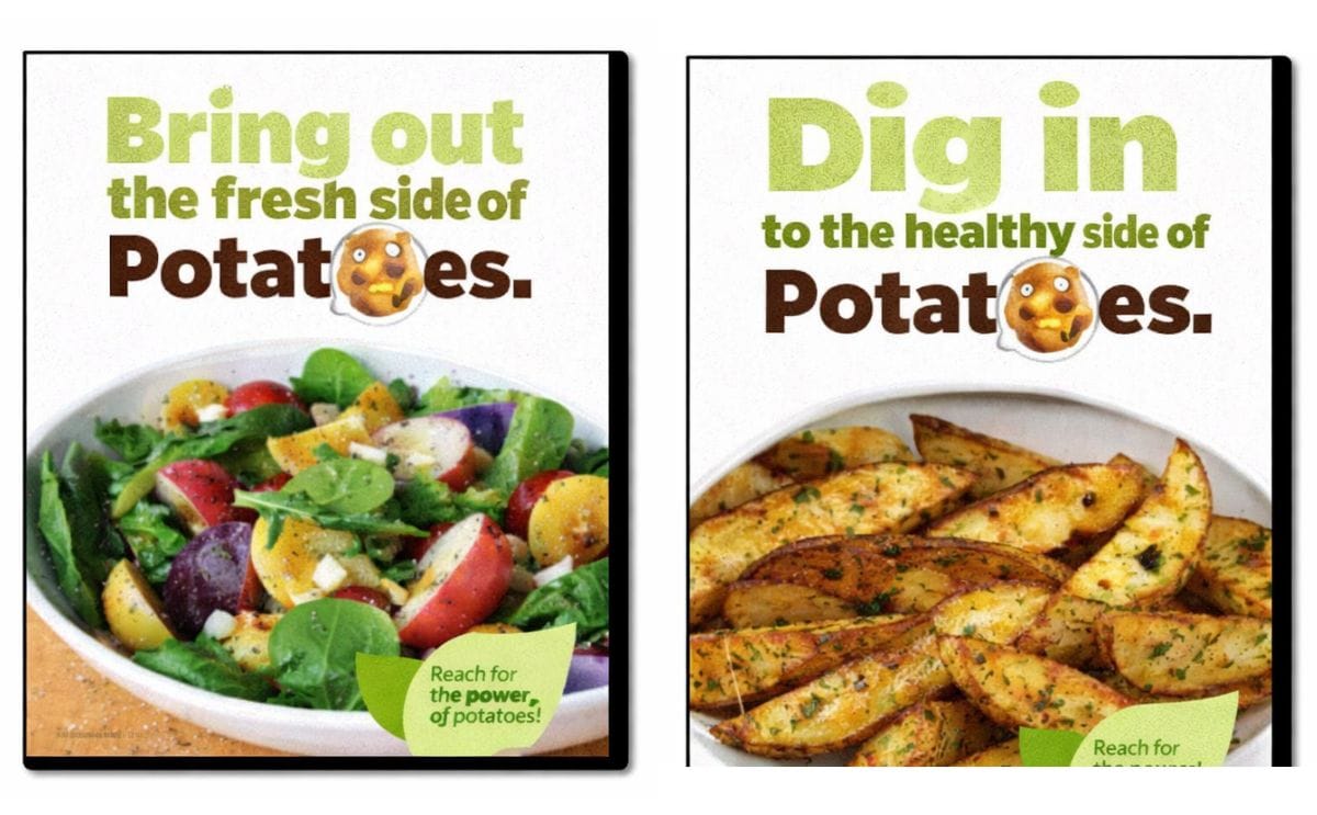 Many Sides of Potatoes Many Sides of Potatoes