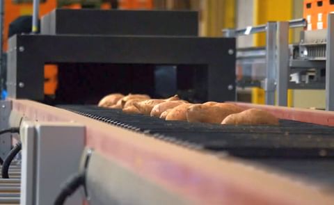 Gracias a esta máquina clasificadora podemos ofrecer una amplia gama de posibilidades.
Gracias a esta máquina clasificadora podemos ofrecer una amplia gama de posibilidades.