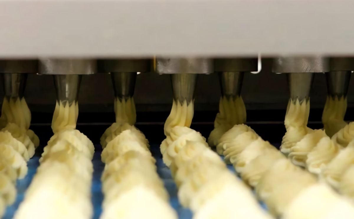 Marel TEX-10 Ultra-low pressure forming of potato mass for homogenous texture and guaranteed uniform shape