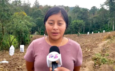 María Gómez young university student María Gómez young university student