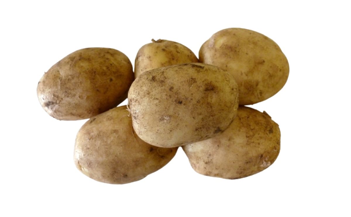 maris-peer-potato-variety-1200.jpg