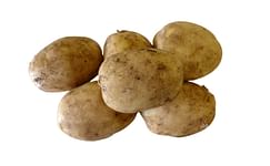 maris-peer-potato-variety-1200.jpg