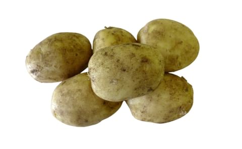maris-peer-potato-variety-1200.jpg maris-peer-potato-variety-1200.jpg