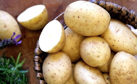 Maris Piper Maris Piper