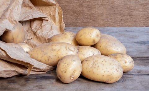 Maris Piper potato variety Maris Piper potato variety