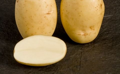 Maris Piper (Courtesy: Potato Council Variety Database / SASA) Maris Piper (Courtesy: Potato Council Variety Database / SASA)