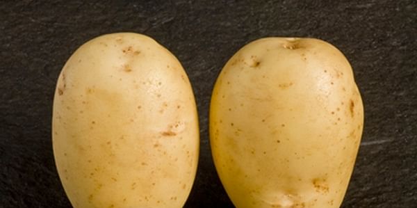 Maris Piper (Courtesy: Potato Council Variety Database / SASA)