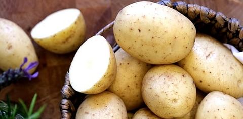 Potato Varieties in Great Britain in 2017: Maris Piper still King, New Retail Varieties see growth
