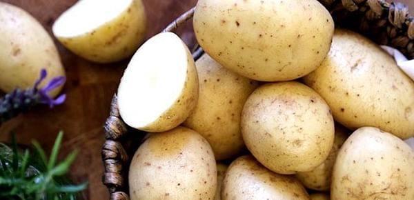 Potato Varieties in Great Britain in 2017: Maris Piper still King, New Retail Varieties see growth