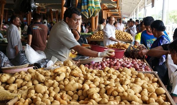 Potato Prices unlikely to Drop to ₹8-10 a kg this Year: Experts