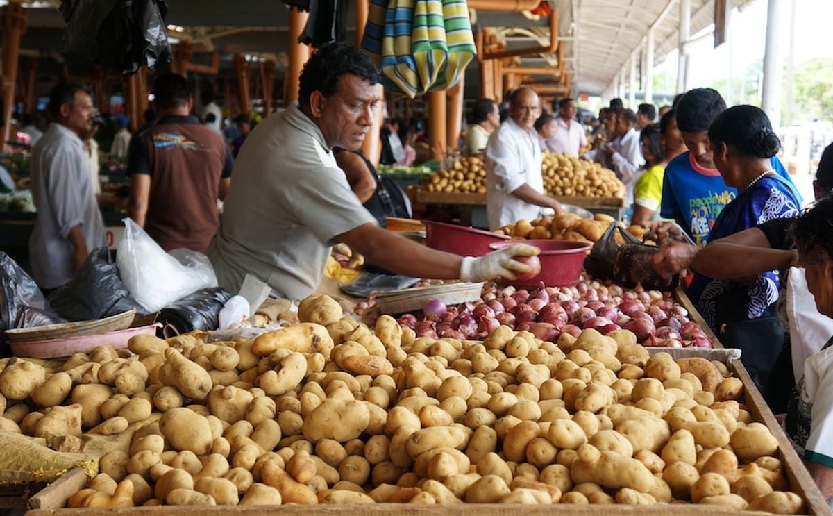 Potato Prices unlikely to Drop to ₹8-10 a kg this Year: Experts Potato Prices unlikely to Drop to ₹8-10 a kg this Year: Experts